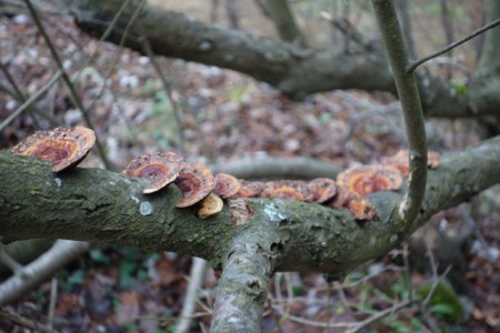 Hinterbrühl Spielplatz Ende Eichbergstraße
